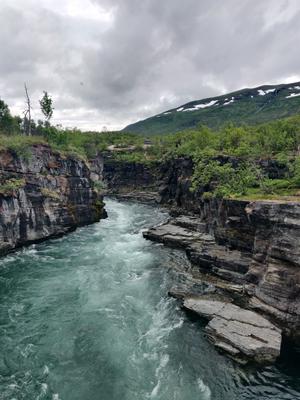 Abiskojåkka