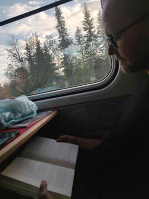 Läser på tåget